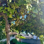 Apartment New Lunarglow 3-room With Free Parking *