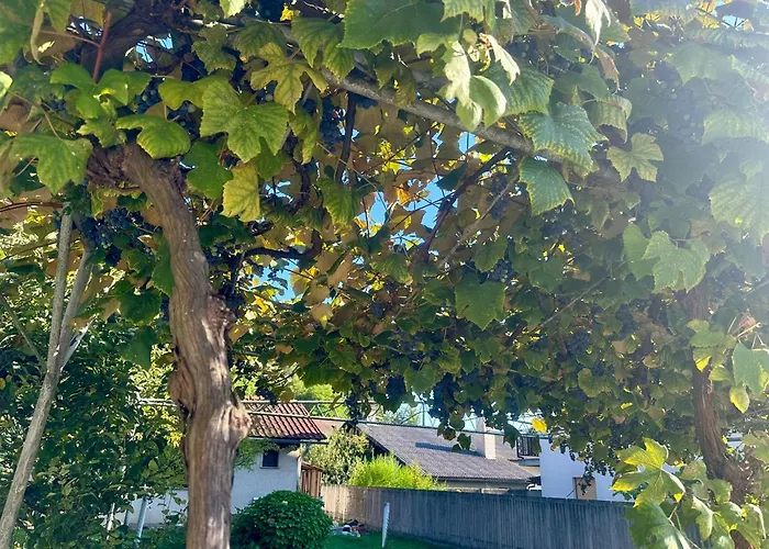 Апартаменты New Lunarglow 3-room With Free Parking *