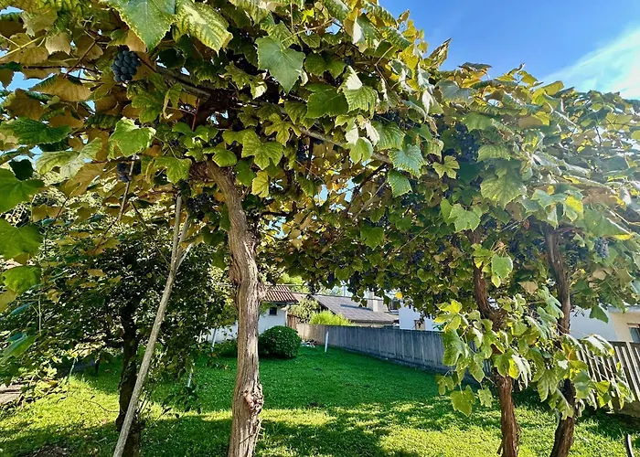 New Lunarglow 3-room With Free Parking 아파트 류블랴나